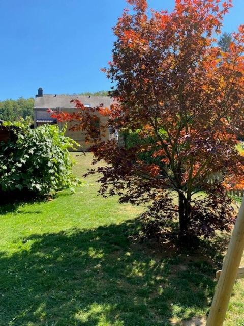 "Chez Mima" - A Deux Pas De Durbuy! Villa Buitenkant foto