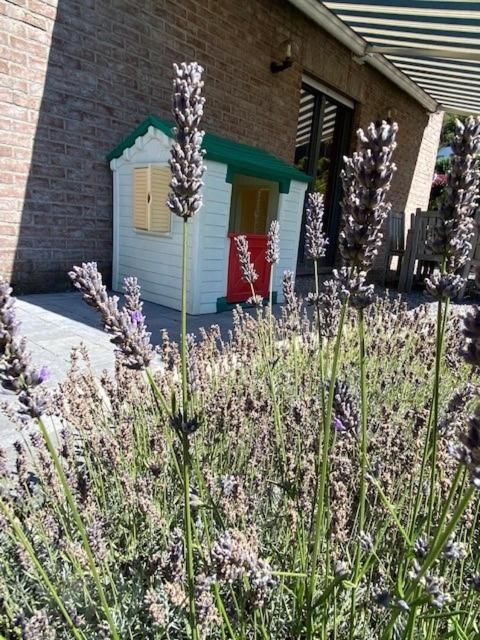 "Chez Mima" - A Deux Pas De Durbuy! Villa Buitenkant foto